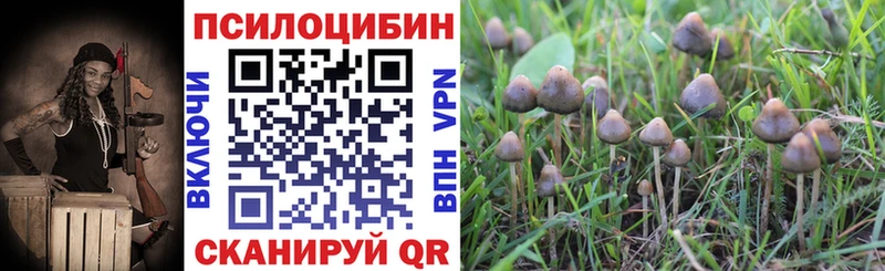 Псилоцибиновые грибы Cubensis  МЕГА   Ковылкино 